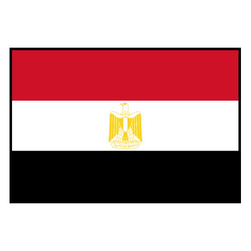 Egypt national team