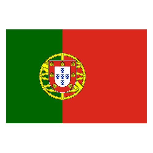 Portugal national team