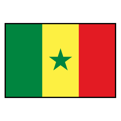 Senegal national team