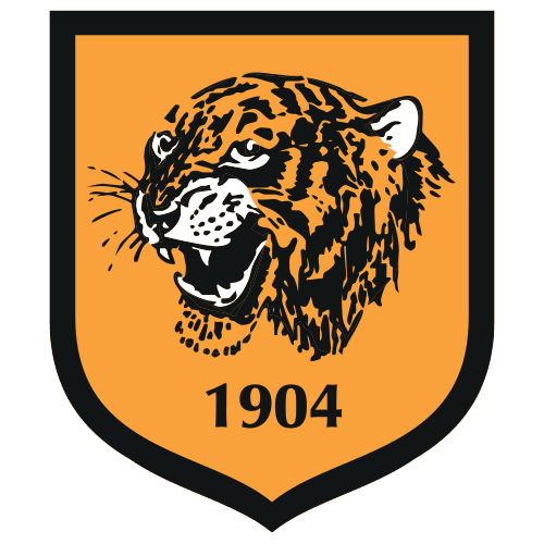 Hull City national team