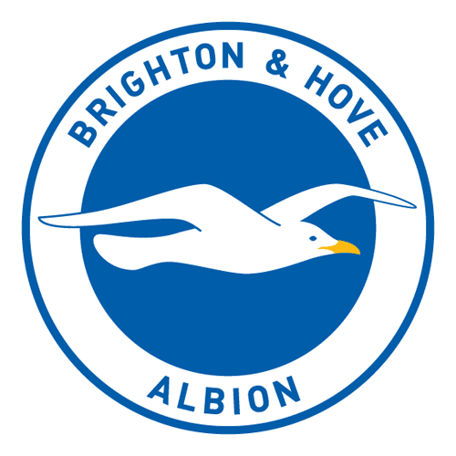 Brighton & Hove Albion national team