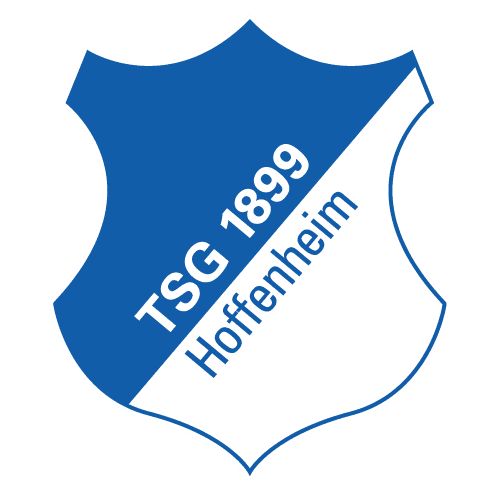 TSG Hoffenheim national team